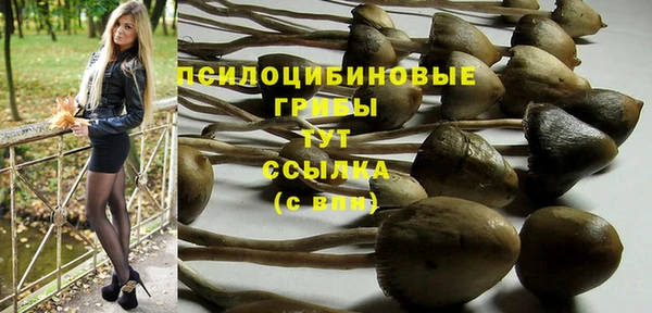 прущая мука Усмань