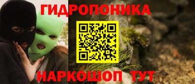 шишки Малгобек
