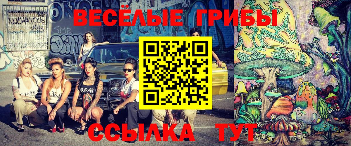 Псилоцибиновые грибы мухоморы Армавир