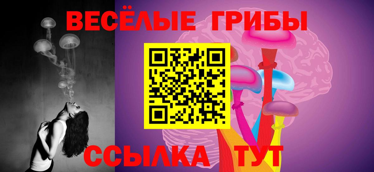 Галлюциногенные грибы Psilocybe  Вход с VPN  где купить   Армавир 