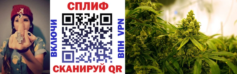сайты даркнета Telegram Армавир Бошки Шишки гибрид